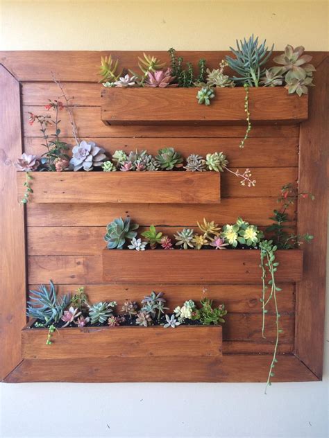 Pin by Carol Camilleri on Succulents & other plants | Indoor succulent planter, Succulent wall ...