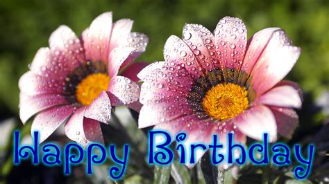 BirtHDay Flowers Wallpaper HD 19796 - Baltana