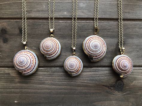 Sundial Shell Necklace