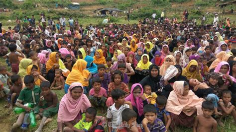 Rohingya refugee camp capacity exhausted in Bangladesh: UN – CVD