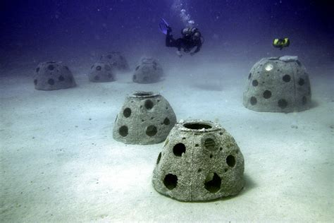 Get Buried in an Artificial Reef in Florida