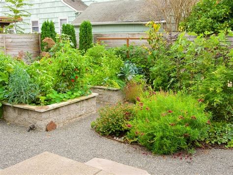 Eco-Friendly Lawn & Grass Alternatives | Garden Design