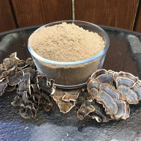 Turkey Tail Mushroom Extract Powder Full Spectrum Organic | Etsy