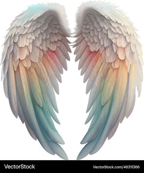 Feather Wing Clipart