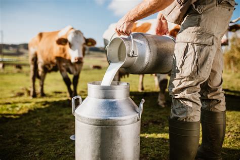 Dairy Milk, Farms, and PFAS—Issues Recently Highlighted in Hearing ...