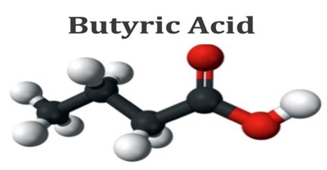 Butyric Acid - Assignment Point