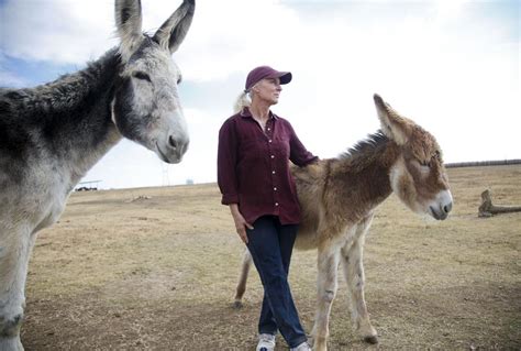 Donkeys have Bixby woman to thank for rescue, lifelong homes | Local News | tulsaworld.com