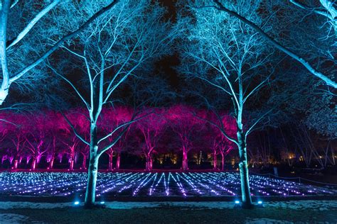 #Lightscape: The Chicago Botanic Garden Gets Lit