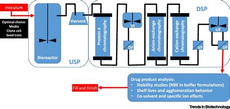 Towards a Digital Bioprocess Replica: Computational Approaches in ...