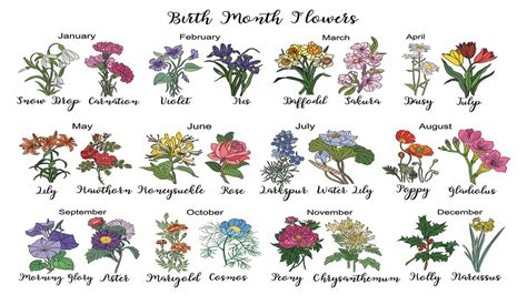 What Are the 12 Birth Flowers? | HowStuffWorks