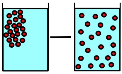 Diffusion and Osmosis - Difference and Comparison | Diffen