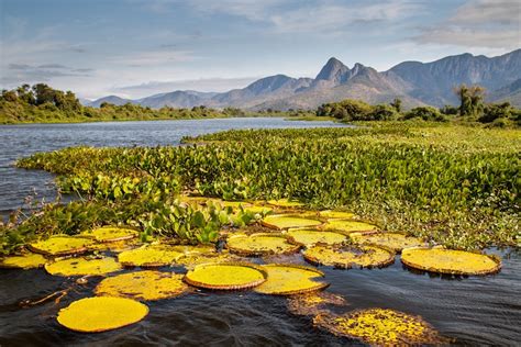 10 Most Beautiful National Parks in Brazil (with Map & Photos) - Touropia