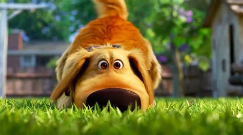 'Dug Days' Shorts Disney+ Release Date Announced (US) - Disney Plus Informer