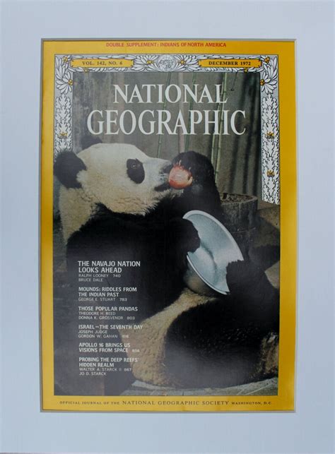 Panda National Geographic Cover Magazine Photographic - Etsy