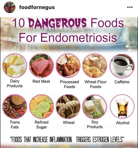 DAMNIT!! F#@% YOU ENDO!!! | Endometriosis diet, Endo diet, Endometriosis