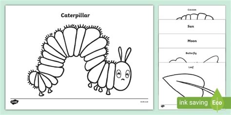 FREE! - Coloring Sheets to Support Teaching on The Very Hungry Caterpillar