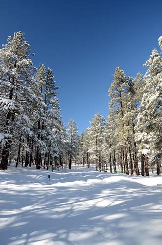 Snowy Dogtown Lake & Campground 2016 | Road to Dogtown Lake … | Flickr