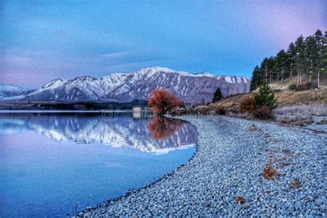 Lake tekapo stock photo. Image of lake, tree, snow, mountain - 119321698