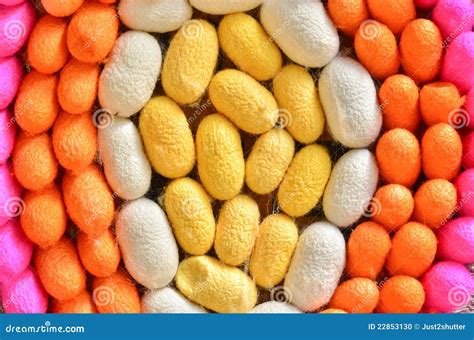 Colorful Silkworm Cocoon Stock Photo - Image: 22853130