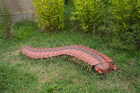 Arthropleura,Devonian,Dinosaur,,Dinosaur,Park - Pointe Pest Control: Chicago Exterminator & Pest ...