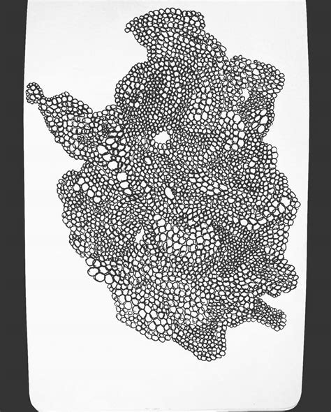 Trypophobia G Drawing by Leandro Bacaltchuk | Saatchi Art