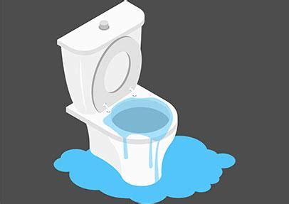 Helpful Tips to Fix Your Clogged Toilet | BUILD