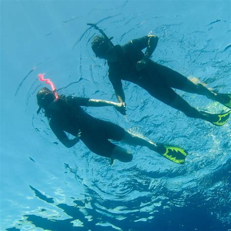 Snorkeling Safaris - Aqua Divers Club