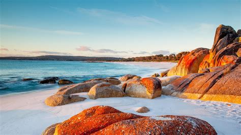 Bay Of Fires | Tasmania, Camper trailer australia, Australia