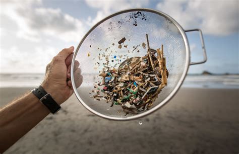 The Invisible, Microscopic Climate Crisis……. Microplastic That We Eat ...