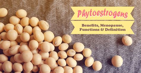 6 Phytoestrogen Benefits at Menopausal Age