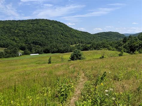 Vermont's Long Trail Reopens After Mud Season; COVID-19 Precautions ...