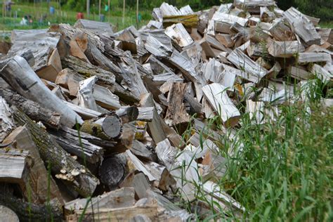 Wood Pile at Albion HIlls Community Gardens Wood Pile, Caledon, Community Gardening, Hills ...