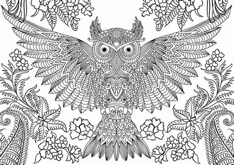 Free Owl Adult Coloring Pages To Print - Coloring Home