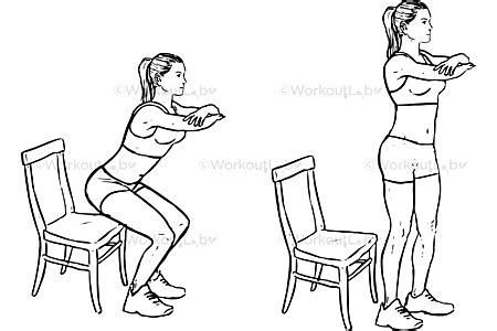 Chair Squats – WorkoutLabs Exercise Guide