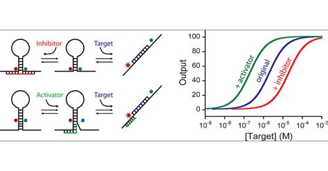 Rational Design of Allosteric Inhibitors and Activators Using the Population-Shift Model: In ...