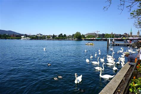 Lake Zurich and Neighbouring Griefensee | The Project Lifestyle