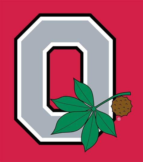 Buckeye Leaf Ohio State Block O - Debora Milke