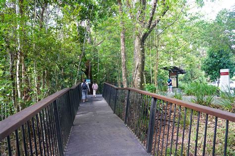 Barron Falls - Regulated Wet Season Waterfall near Cairns