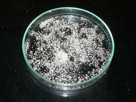 Microspheres - Nishka Labs