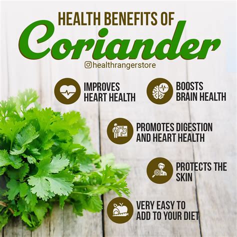 Heart Health, Brain Health, Garden Compost, Coriander, Health Benefits, Health And Wellness ...