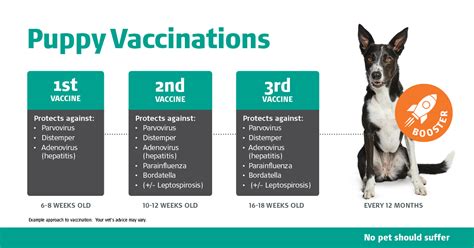 Printable Puppy Vaccination Chart