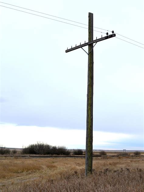 Telegraph Pole Photograph by Ed Mosier | Fine Art America