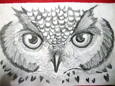 Owl Eyes Sketch at PaintingValley.com | Explore collection of Owl Eyes ...