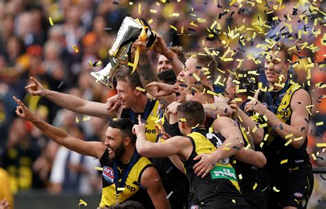 Richmond Tigers destroy GWS Giants to win AFL grand final | SBS News