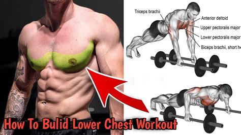 Lower Chest Workout With Dumbbells