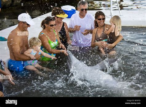 Human interaction with dolphins is part of an educational process at ...