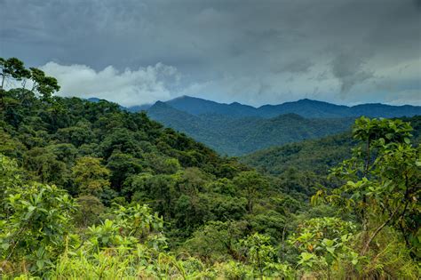 Happy birthday Santa Fe National Park! – Panama Wildlife