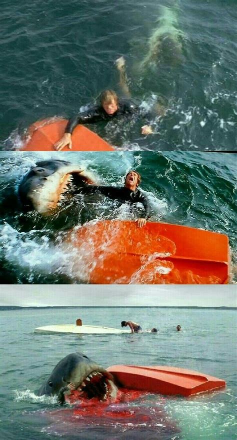 Pin by Brendan Umphrey on Sharks | Shark pictures, Jaws film, Classic ...