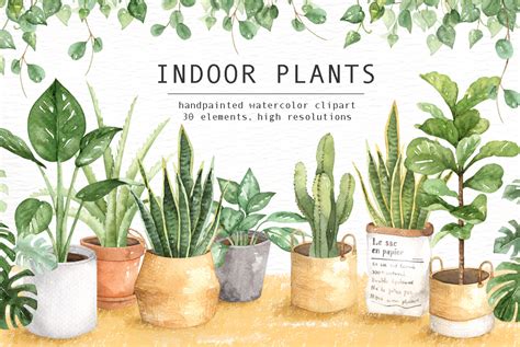 Indoor Plants Watercolor Clipart By everysunsun | TheHungryJPEG