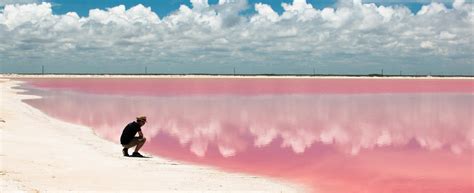 Latin America's "pink tide" and the challenge of systemic change